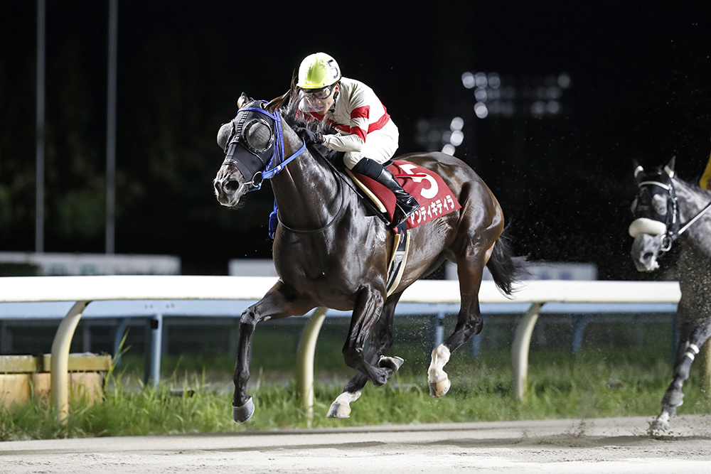 第42回読売レディス杯｜web Furlong