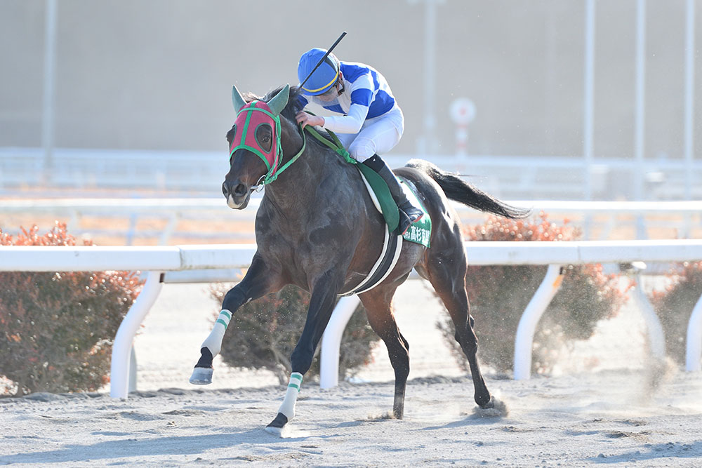 第39回全日本新人王争覇戦｜web Furlong