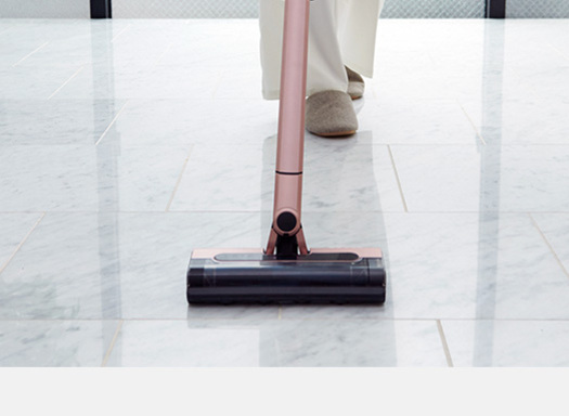 シャーク】Shark EVOPOWER SYSTEM FLEXモデル CS501J ローズゴールド