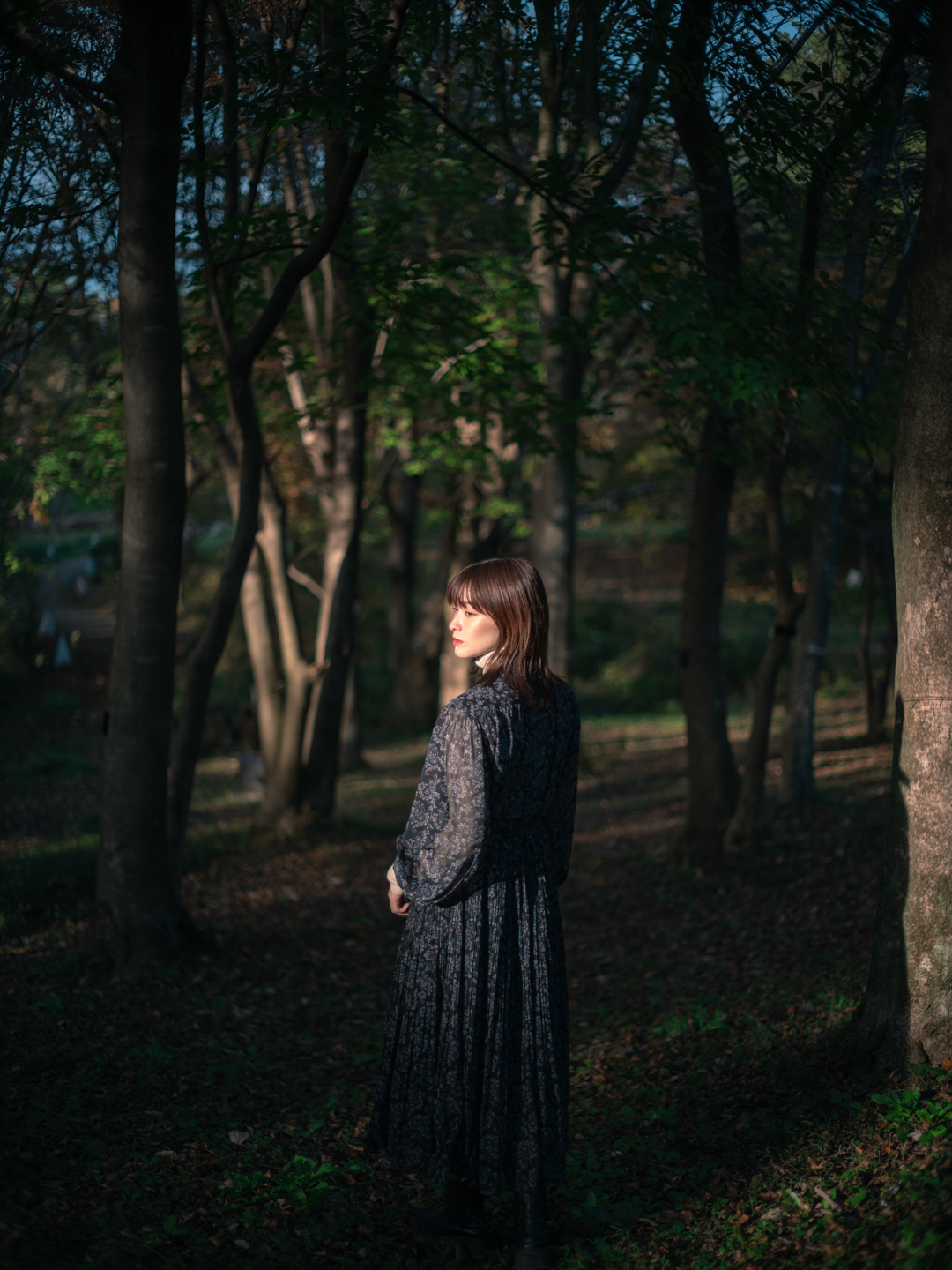 オールドレンズを始めよう！作例編Vol.5：Super-Takumar 55mm F1.8で