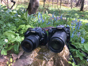 キヤノン（Canon）のEOS Kiss Digital Xレビューや写真に関する記事