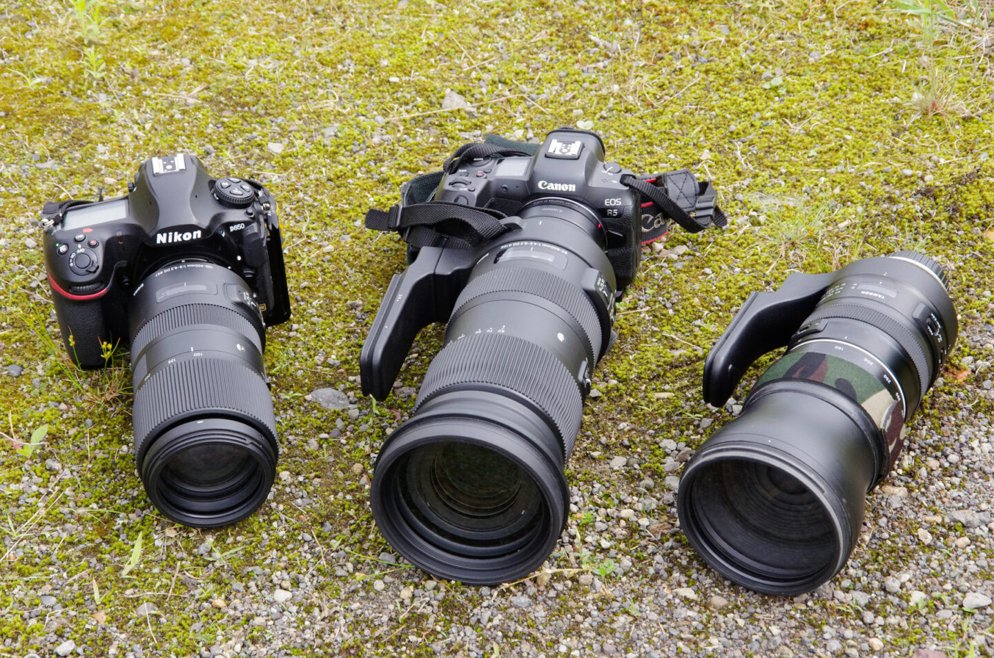 ネイチャースナップのすすめ｜超望遠ズームレンズを活用しよう | ShaSha