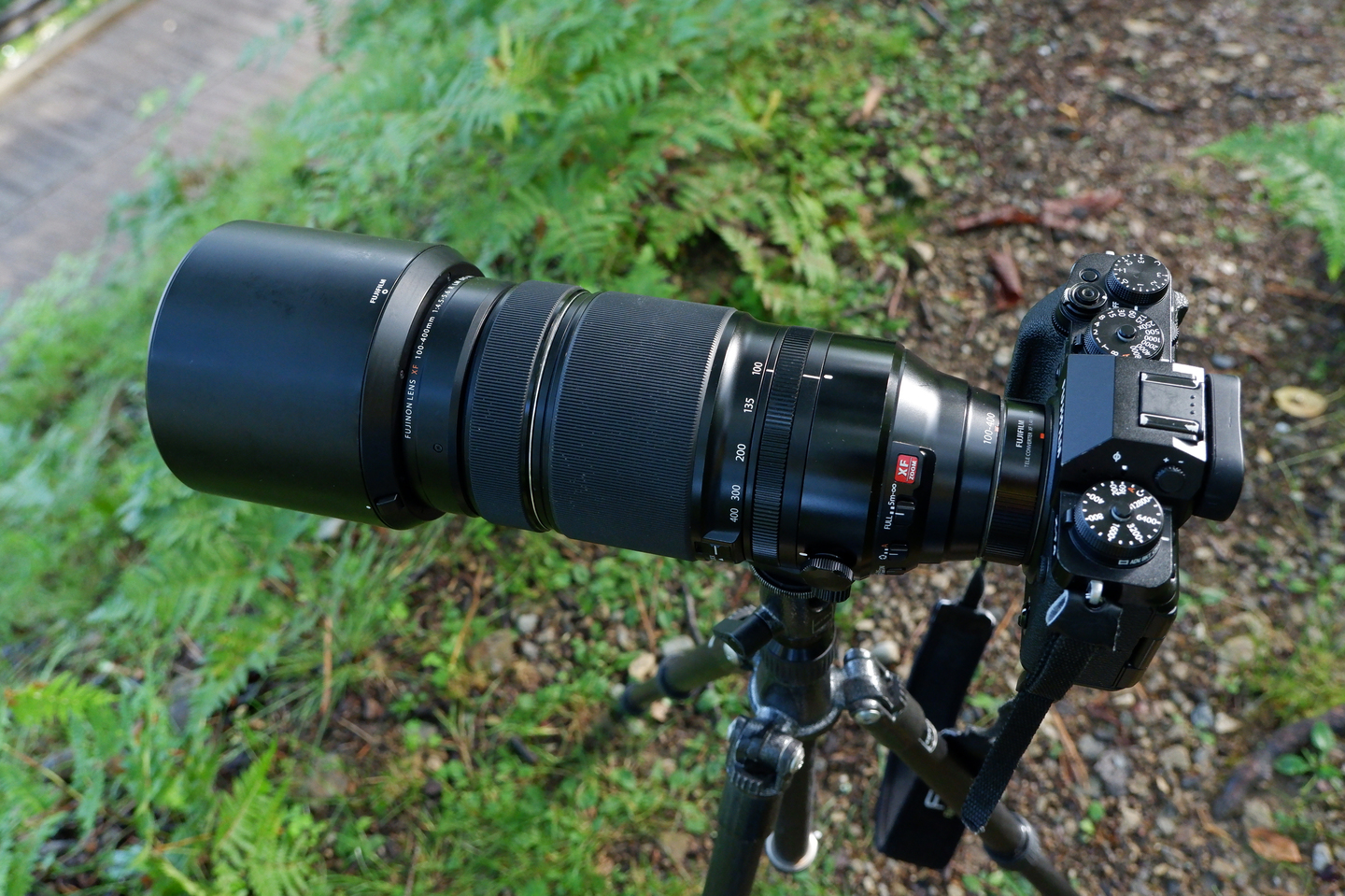 富士フイルム XF100-400mmF4.5-5.6 R LM OIS WR｜旅写真家が選ぶ望遠