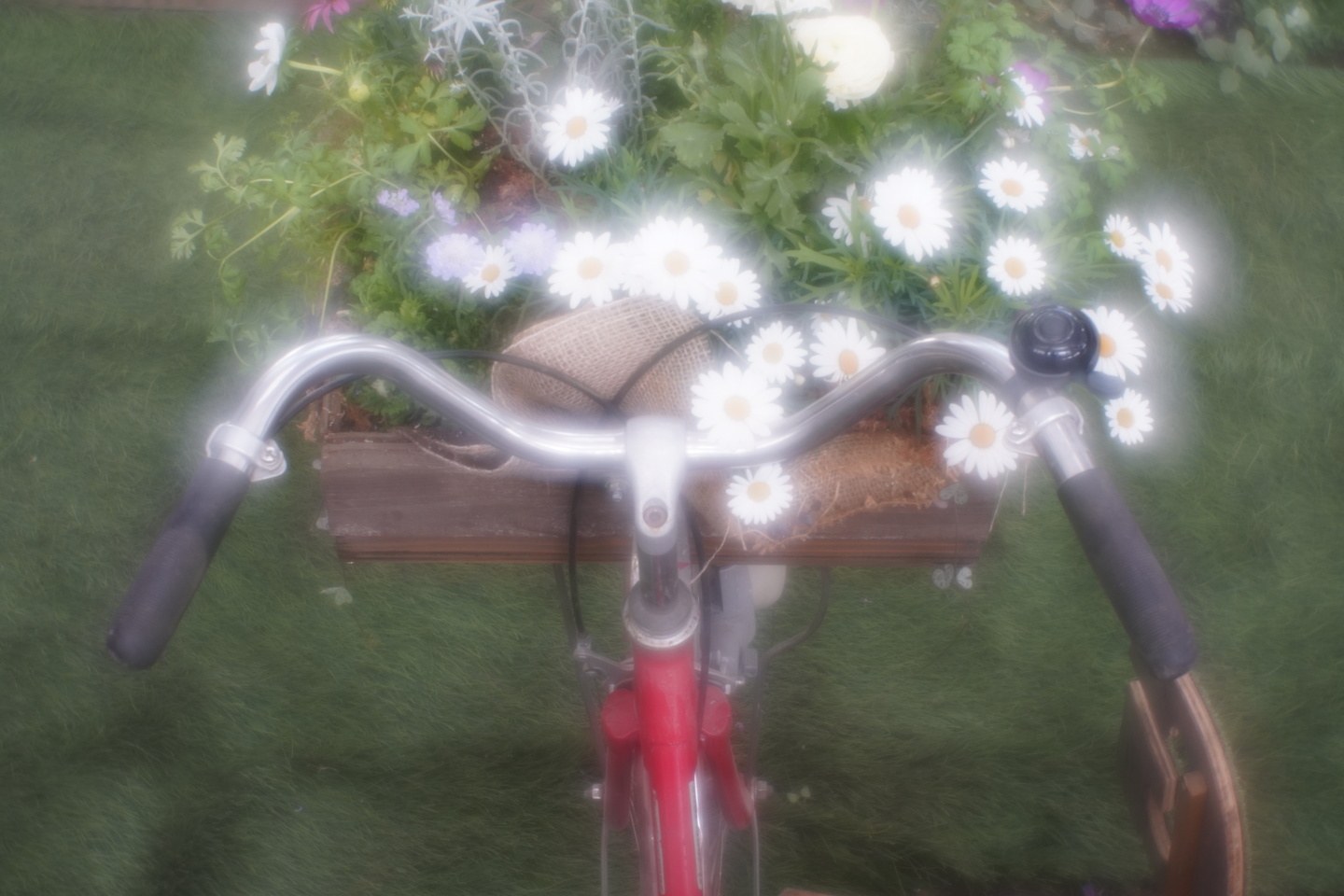 オールドレンズ】「ベス単フード外し」の描写が得られるレンズ 清原