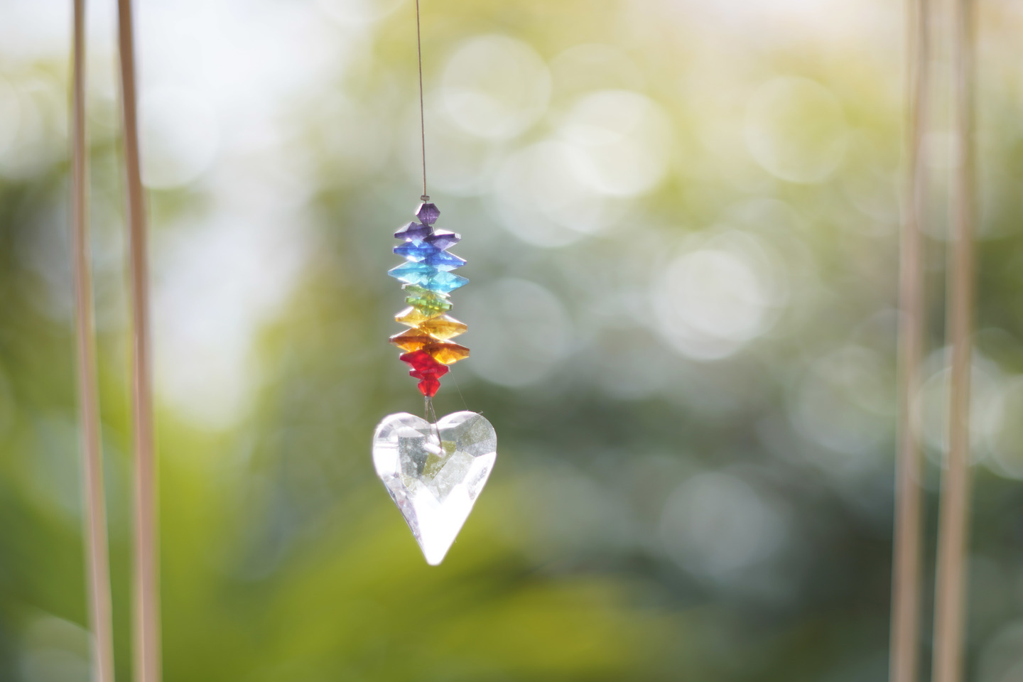 オールドレンズ】2本目のタクマーに！小さくお手頃な中望遠レンズ