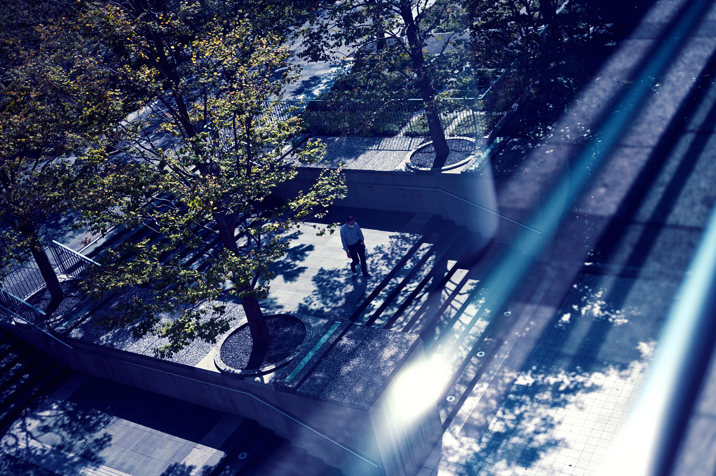 ニコン NIKKOR Z 40mm f/2 レビュー｜クリアーな描写でリズミカルに