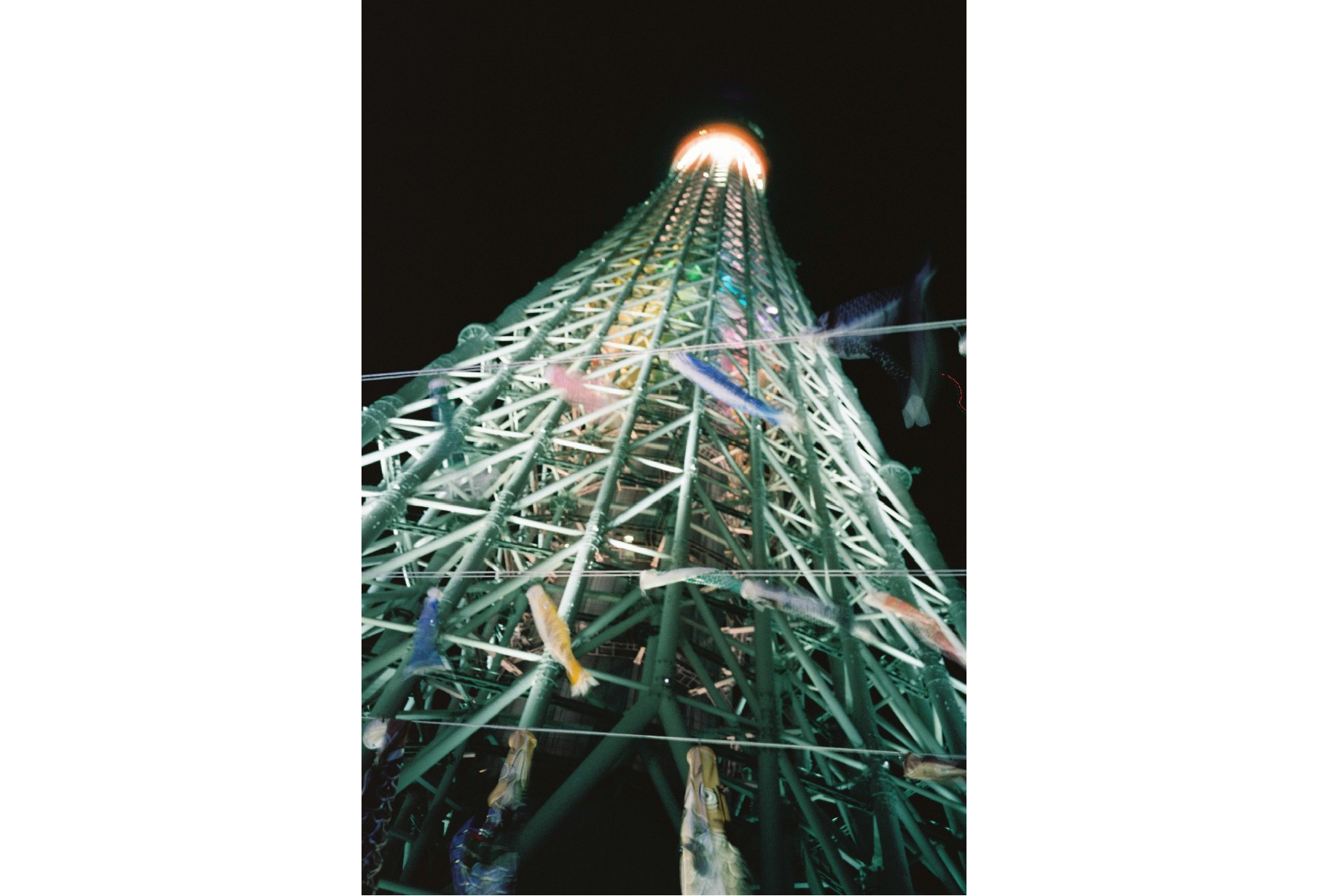 作例紹介】MINOLTA TC-1 | 新宿 北村写真機店