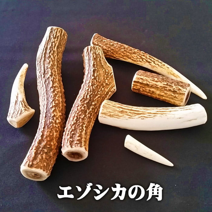 鹿角】おまかせ 幹角 4cm〜6cm 用途自由 ペットおもちゃ、アクセサリー