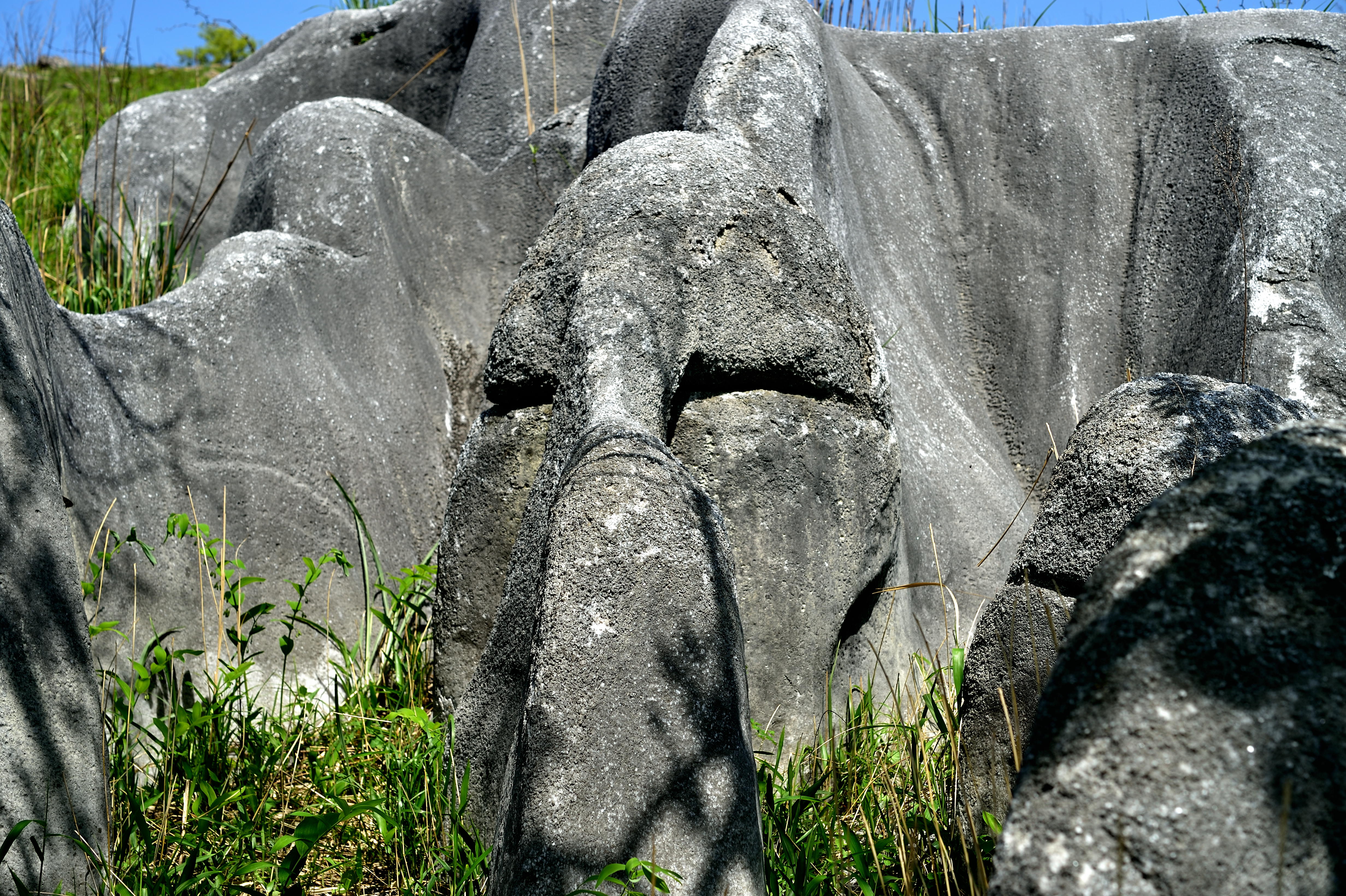 キス岩|常設展示室|北九州市 時と風の博物館