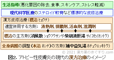 漢方治療 【アレルギー性鼻炎、アトピー性皮膚炎、小児喘息】証〉のた