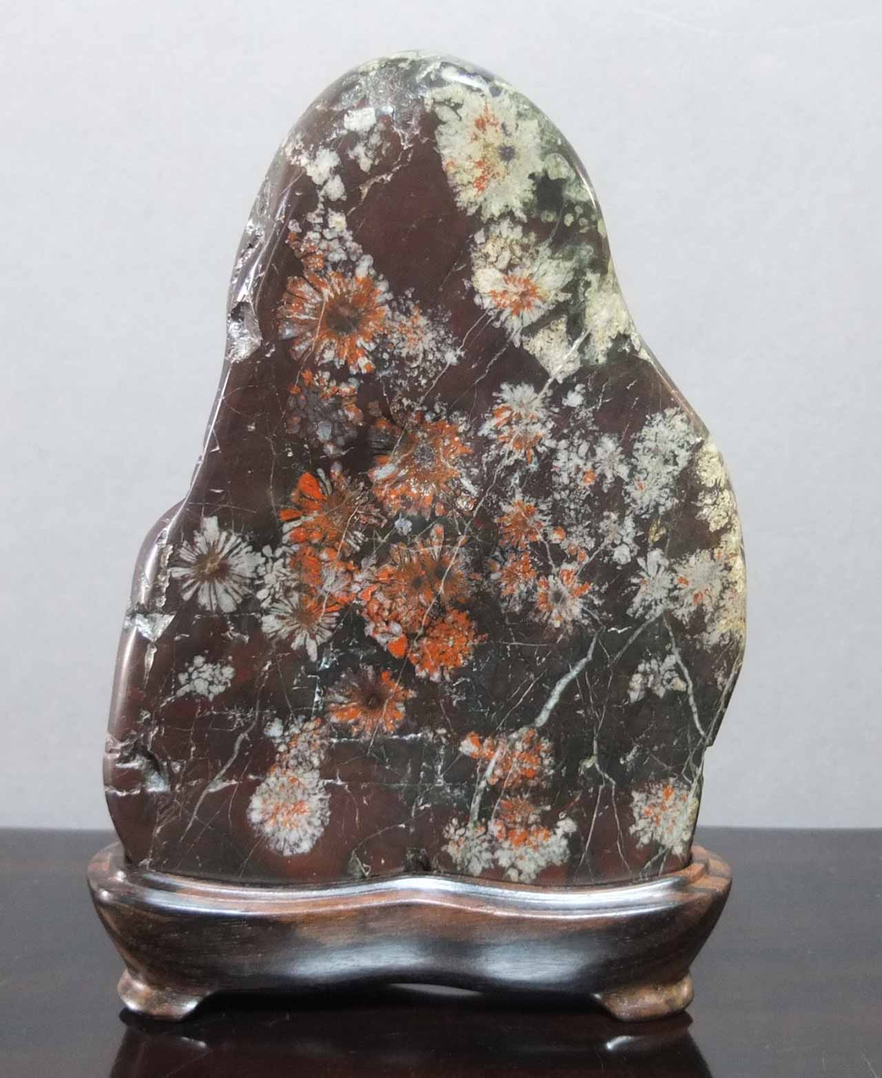 菊花石コレクション 杉山コレクション