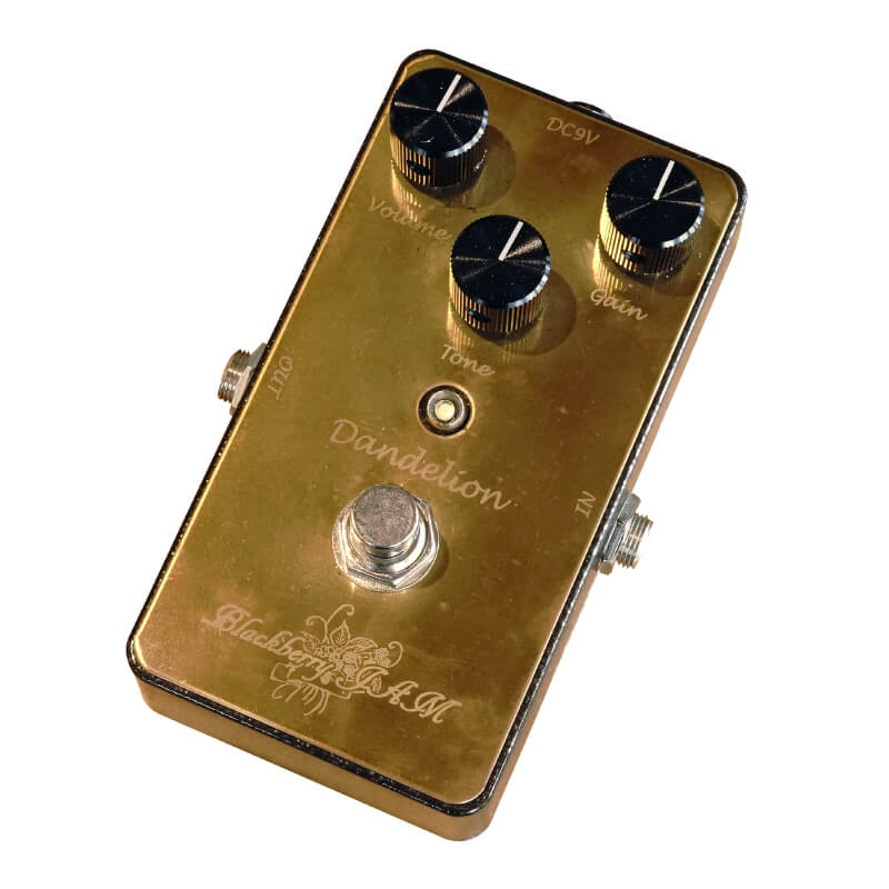 Dandelion | キクタニミュージック