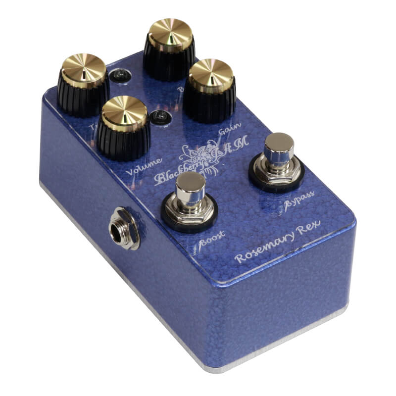 Rosemary Rex | キクタニミュージック