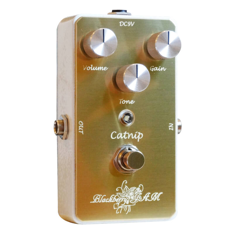 Dandelion | キクタニミュージック