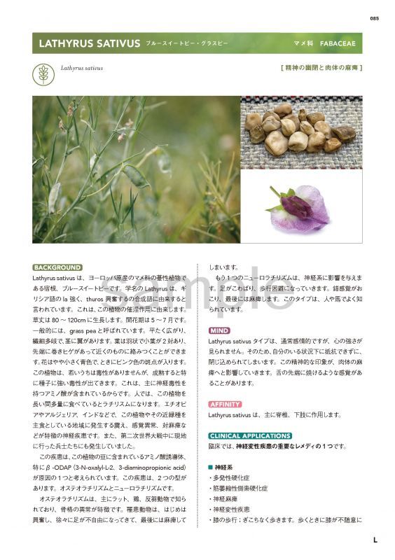 新・臨床家のためのホメオパシー マテリアメディカ 上下巻セット