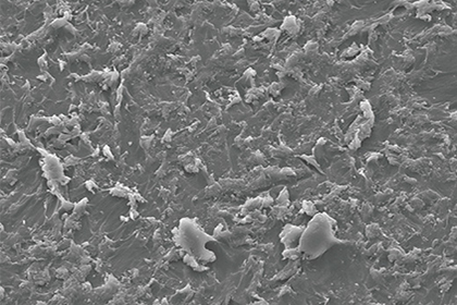 サンドブラスト加工 (サンドマット加工)