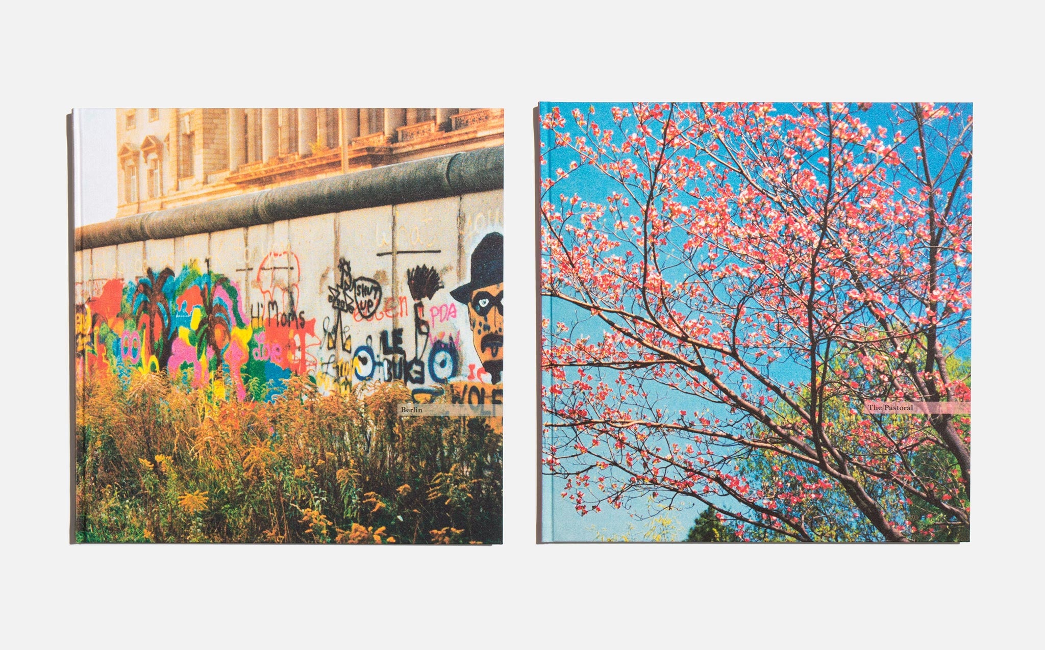 The Democratic Forest - William Eggleston | Kindred Black