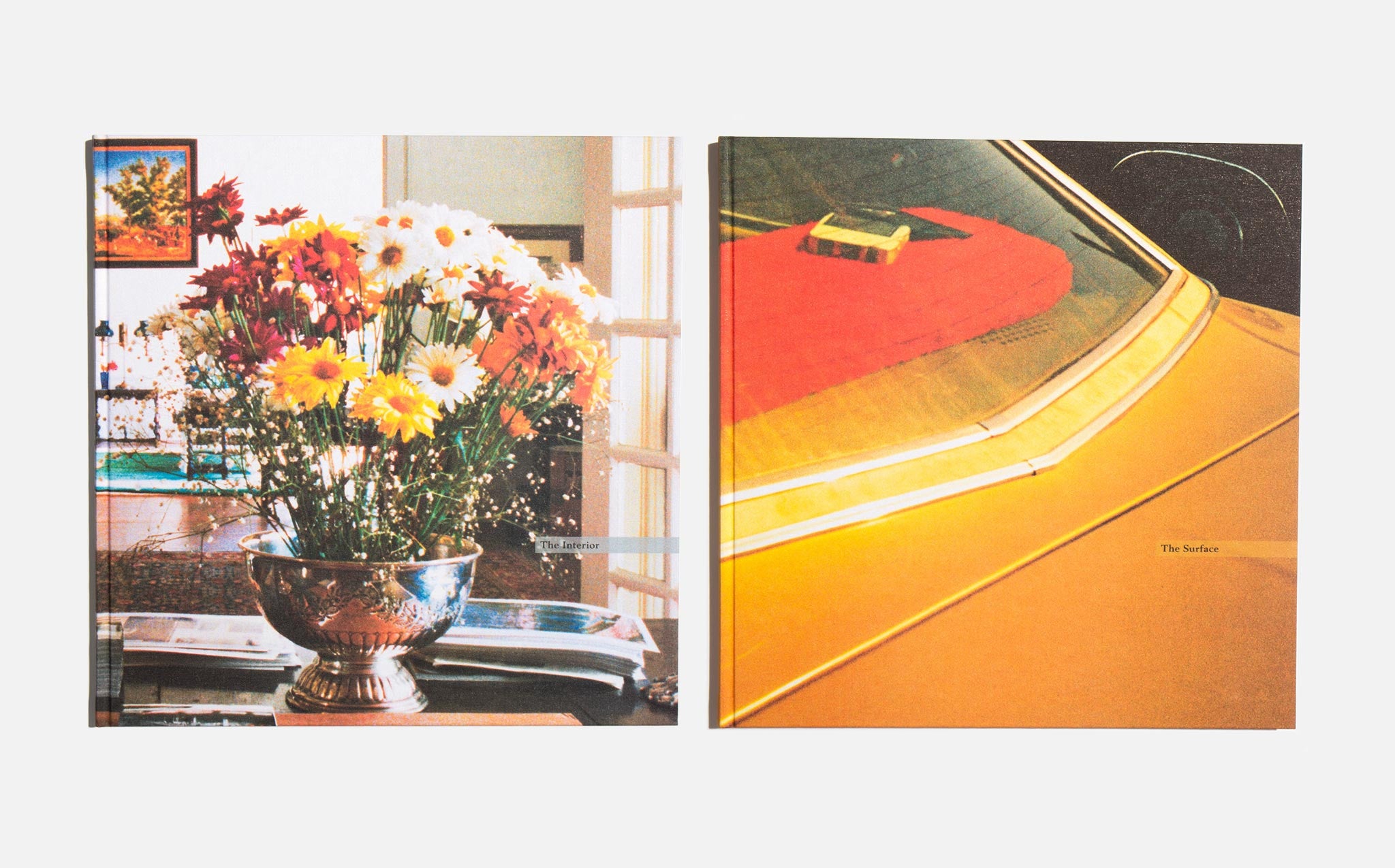 アート・デザイン・音楽 William Eggleston The Democratic Forest