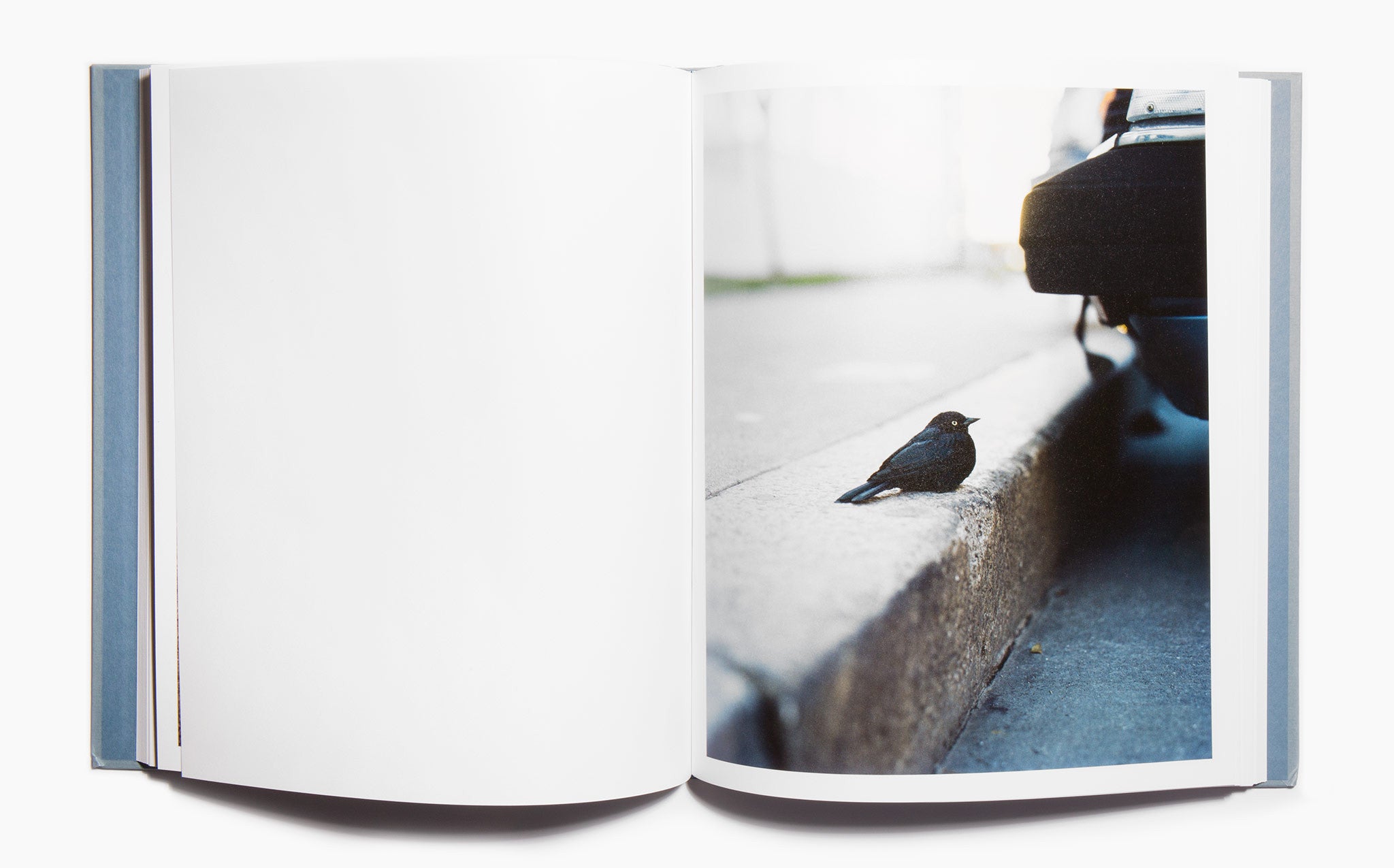 ZZYZX – Gregory Halpern (First Edition, First Printing) | Kindred