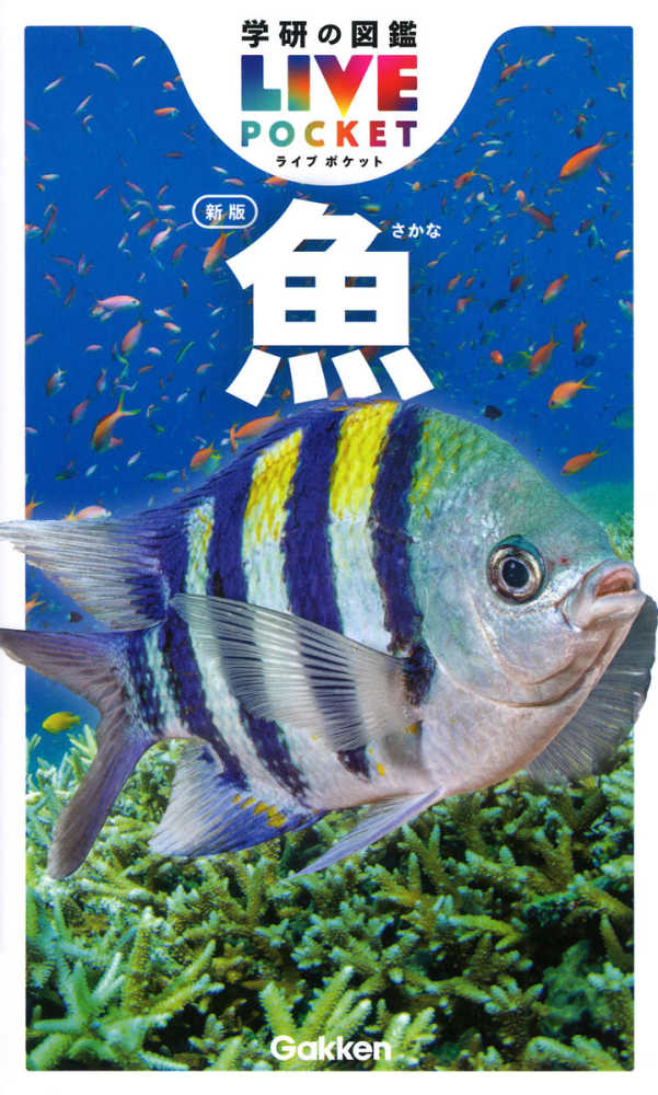 魚 / 本村 浩之【総監修】 - 紀伊國屋書店ウェブストア｜オンライン