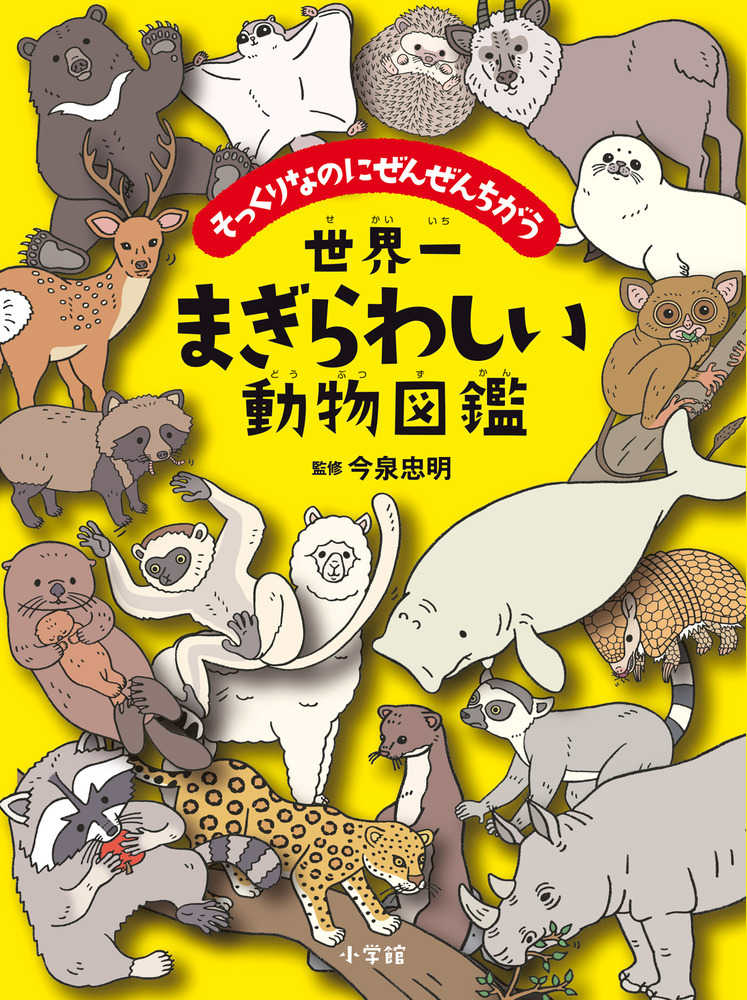 世界一まぎらわしい動物図鑑 / 今泉 忠明【監修】 - 紀伊國屋書店
