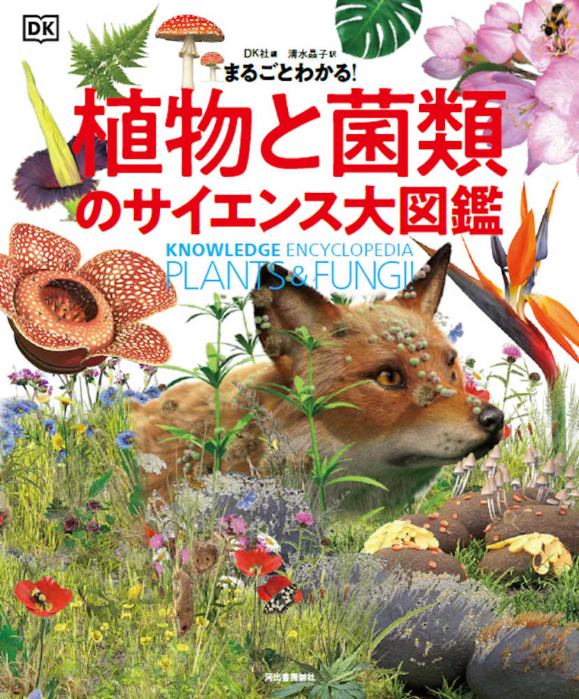 まるごとわかる！植物と菌類のサイエンス大図鑑 / DK社【編】/清水