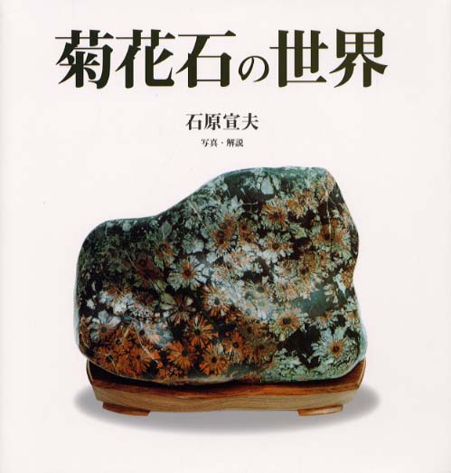 菊花石の世界 / 石原 宣夫【写真・解説】 - 紀伊國屋書店ウェブストア