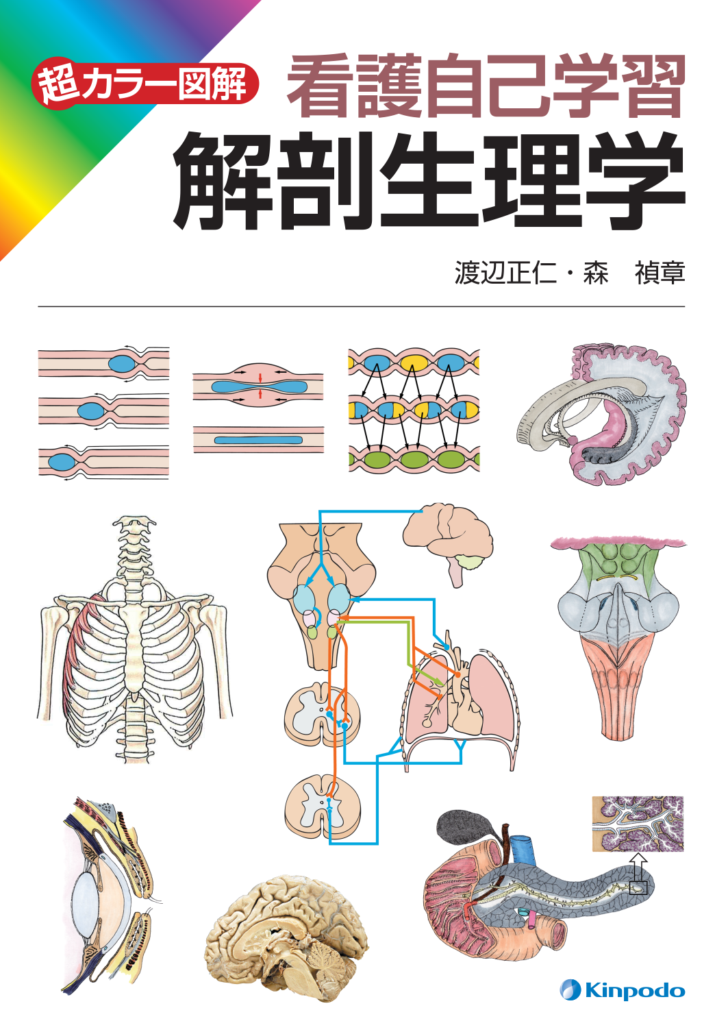 超カラー図解 看護自己学習 解剖生理学 - 株式会社 金芳堂