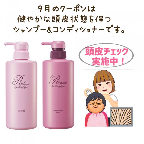 ベネフィーク リシェール バイ ベネフィーク シャンプー｜紹介記事