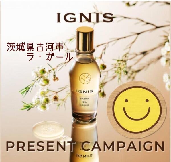 イグニス エクストラ オイルセラム｜紹介記事｜キレイエ