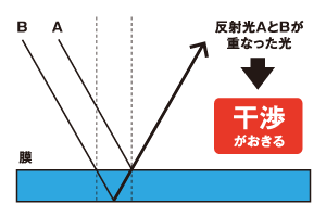 ハイパースペクトルカメラで、膜厚の絶対値を測定することは可能ですか