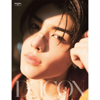 &TEAM DICON N°28 REAL AND RARE (B TYPE) - Kpop USA