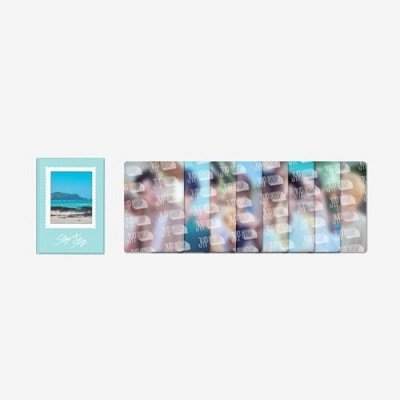 STRAY KIDS COLLECT BOOK STAY IN STAY | INCLUDES 1 RANDOM STRAY