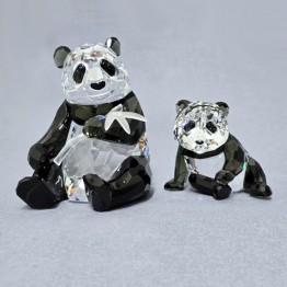 SCS - Annual Edition 2009 - Gorillas