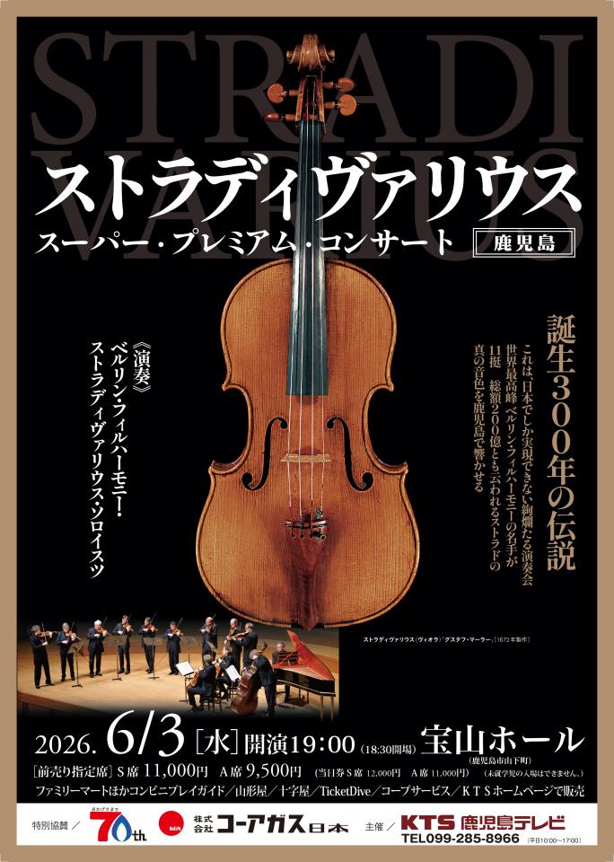 SALE レア ストラディヴァリウス 作品集 洋書 イタリア語 英語 年末