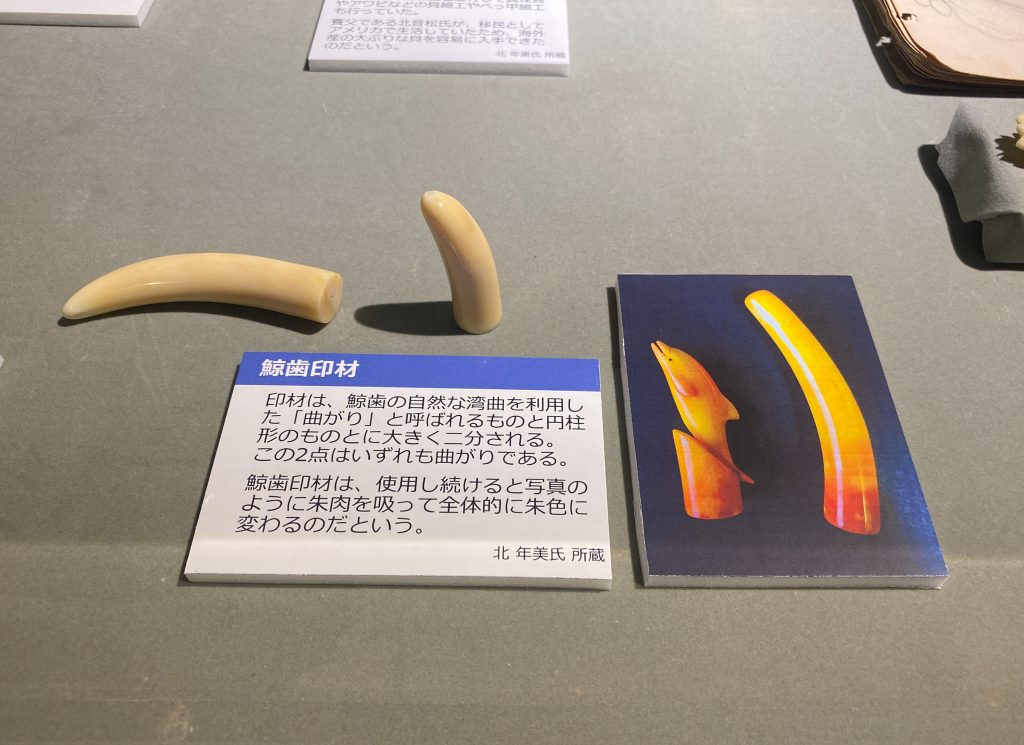 クジラと人の関わりって？太地町立くじらの博物館にて企画展 『鯨と人