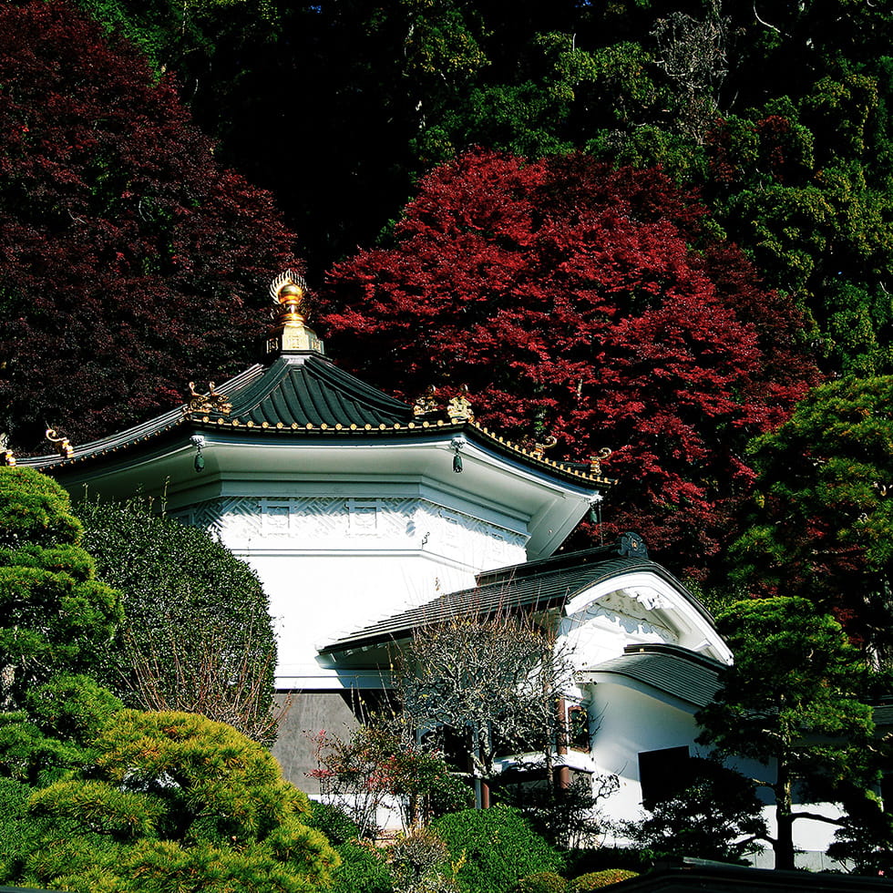 御廟所（日蓮聖人御墓・御草庵跡） | 境内案内 | 身延山久遠寺