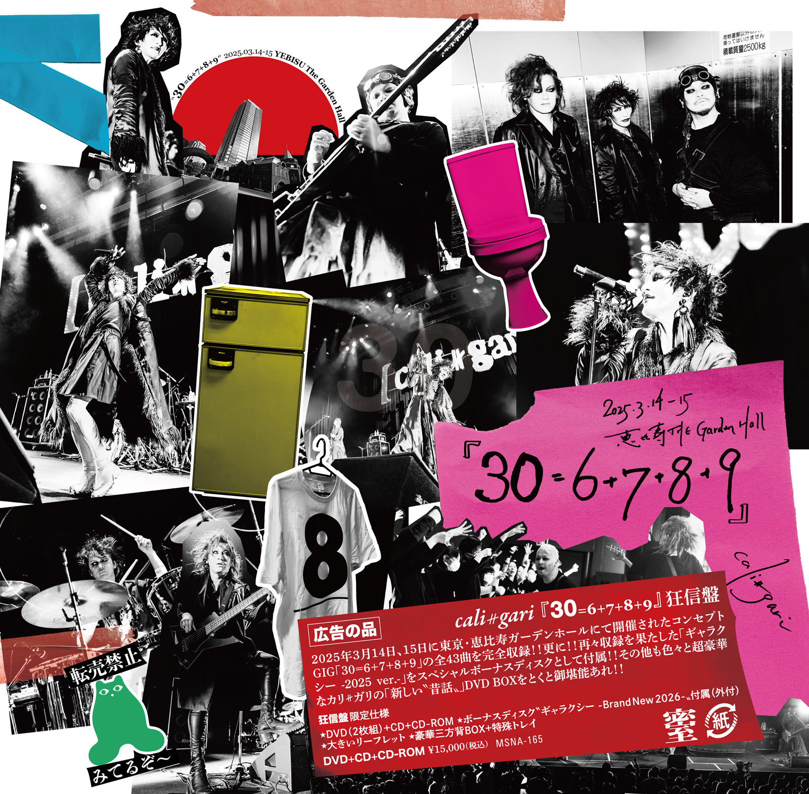 リリース決定】DVD「30＝6＋7＋8＋9」2026年1月25日ライヴ会場にて発売