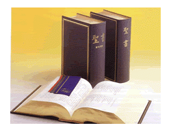 新共同訳大型講壇用聖書 旧約続編付き（総革装・化粧箱入・三方金