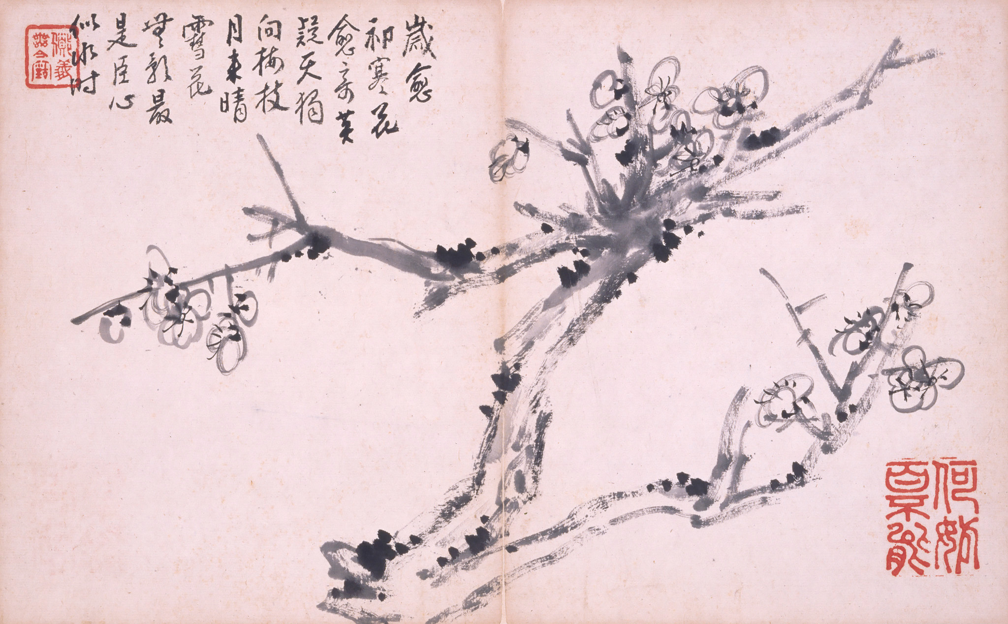 梅花図冊 - 名品紹介 - 京都国立博物館