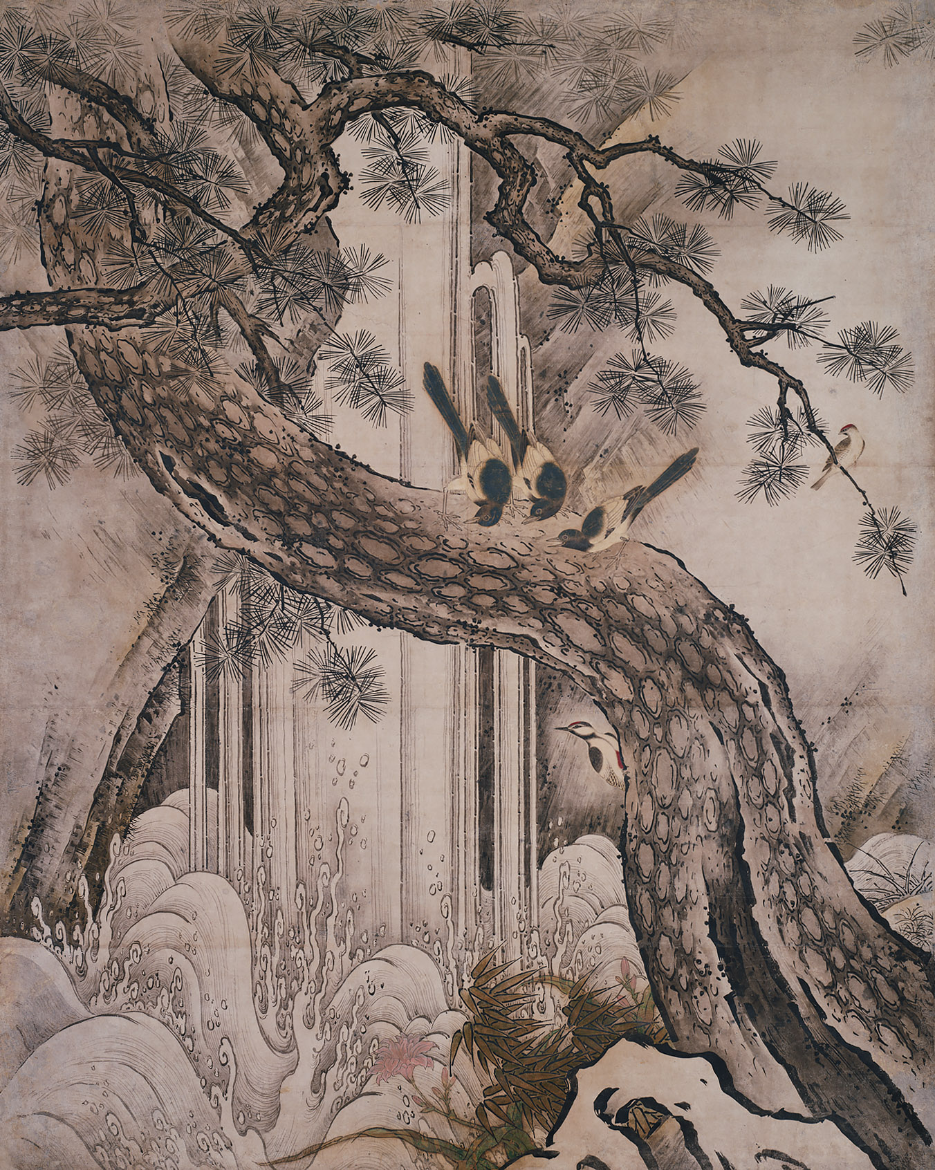 真作/狩野岑信/桃仙人花鳥図/東方朔/尾長鳥図/三幅対/名家伝来/AE-205