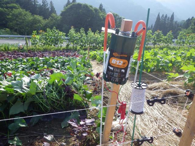 ガラガーパワーユニット B12 【セットタイプ】｜バッテリー式タイプ