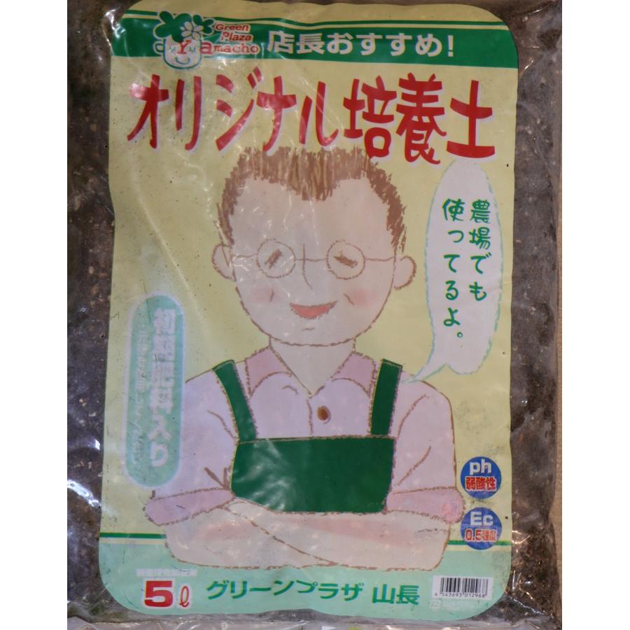 お試しサイズ】 グリーンプラザ山長 オリジナル培養土(鉢・プランター