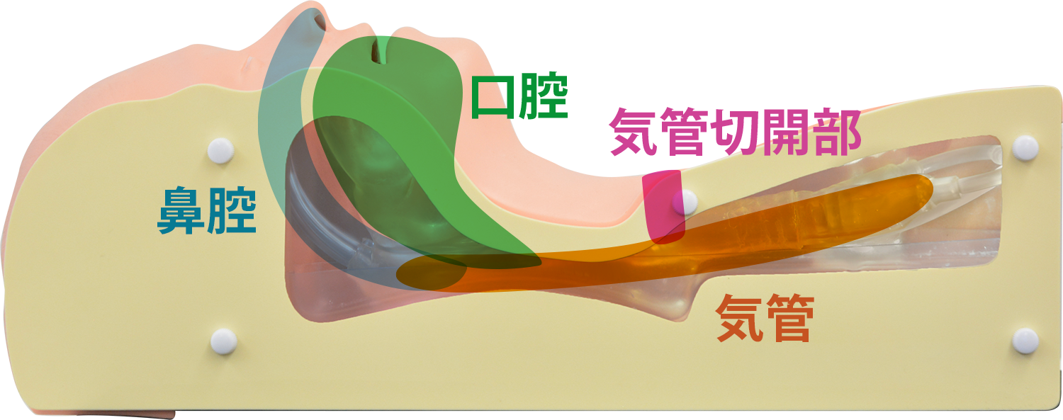 吸引シミュレータ 