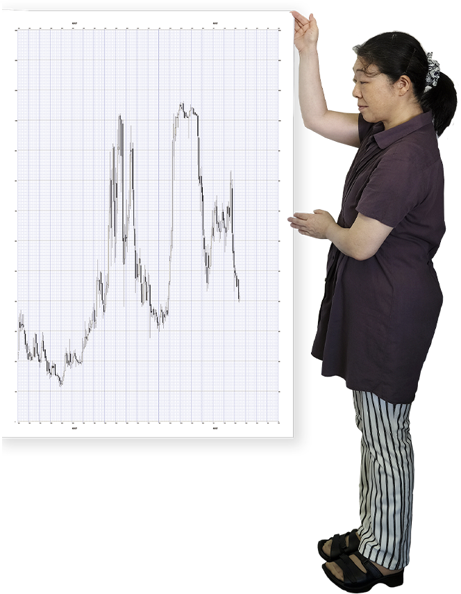底型・天共型111例 FAI規格月足チャート集 林投資研究所 株式投資 底型