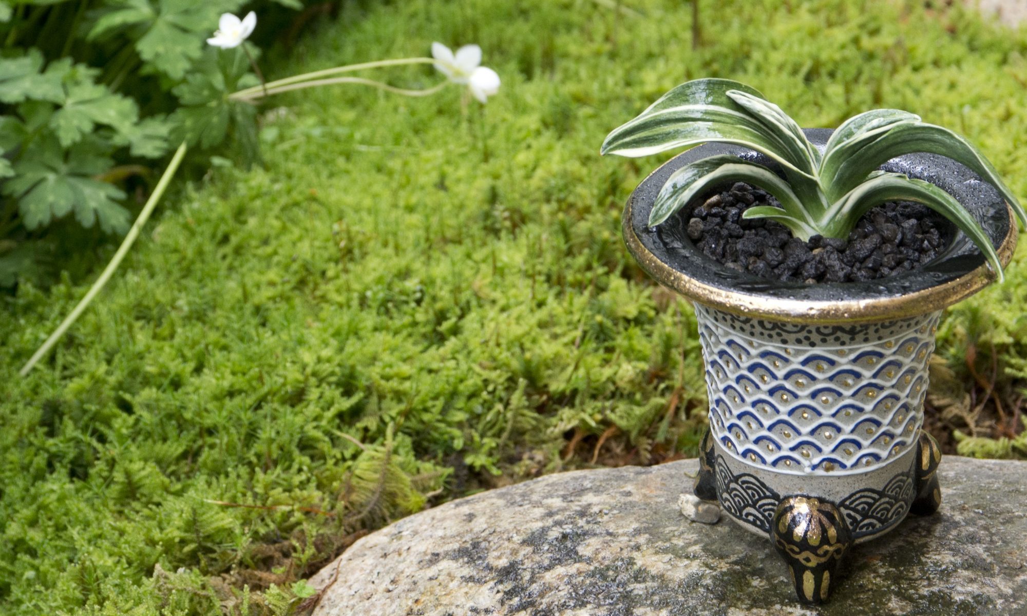 矢筈獅子 (やはずしし) Yahazushishi – おもとの豊明園（ほうめいえん）