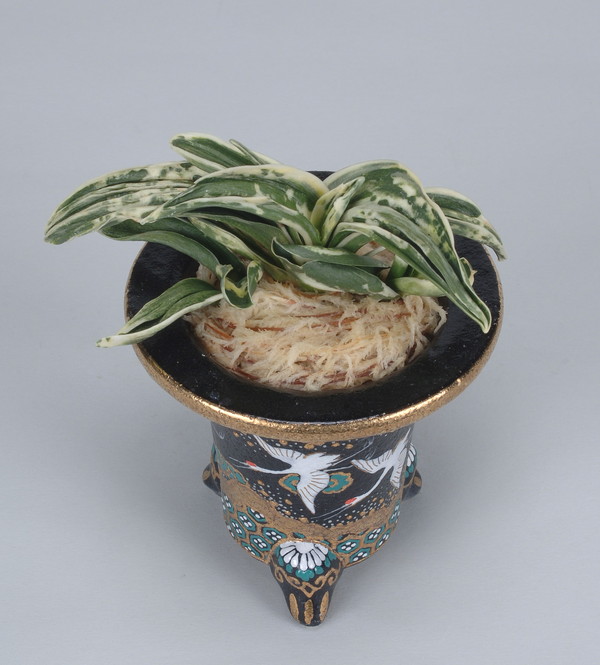 お多福の図 (おたふくのず) Otafukunozu – おもとの豊明園（ほうめいえん）