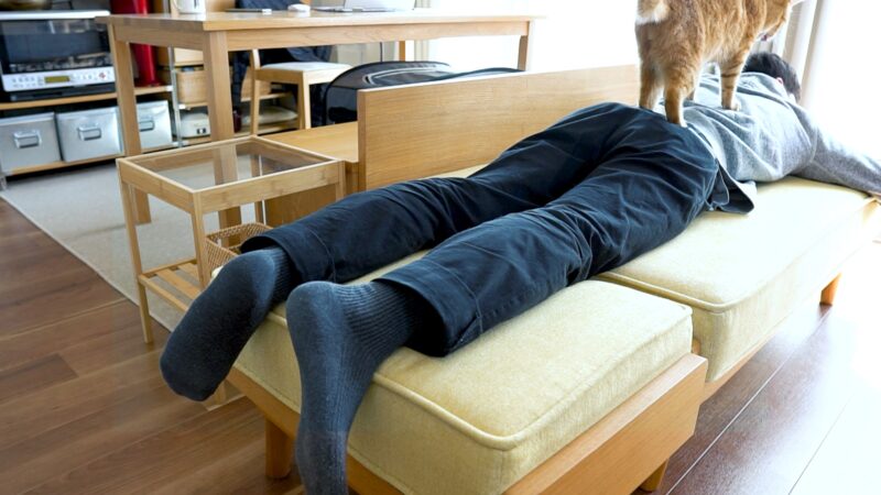 満足度高し】unicoのALBEROソファを、暮らしに取り入れた5つの理由