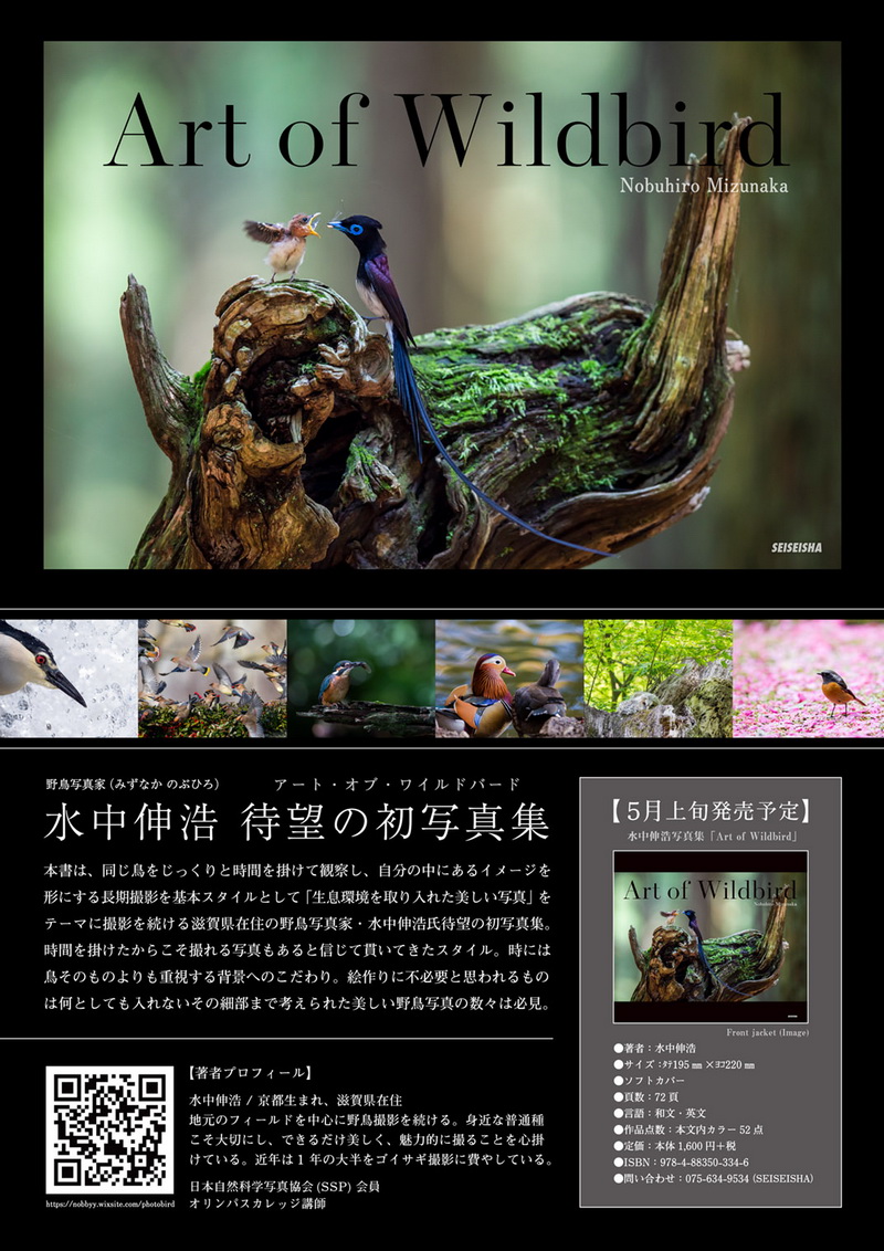 Art of Wildbird (アート・オブ・ワイルドバード) Hobby's World｜野鳥