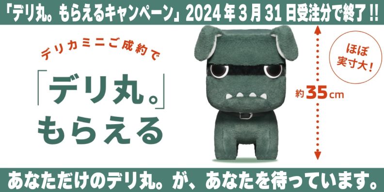 デリ丸 デリカミニ 購入者特典 ぬいぐるみ BIG 大 箱付 非売品 白デリ